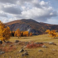 Золотой Алтай :: Sergey38 