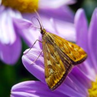 *   *   * :: Уже не важно 