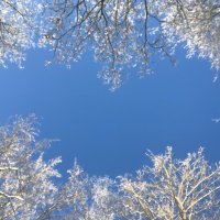 Небесная река :: Ольга Савельева 