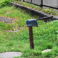 Владимирская область. Город Александров. :: Наташа ***** Владимирская область. Город Александров. :: Наташа *****