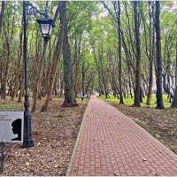 Белла Ахмадулина на тропе. :: Валерия Комова