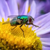 *   *   * :: Уже не важно 