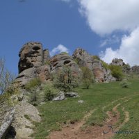 Природа Крыма :: Amazing Cosmea