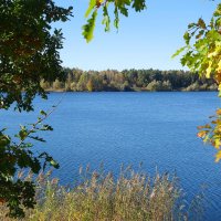 Побережье лесного озера :: Рита Симонова Побережье лесного озера :: Рита Симонова