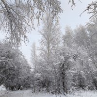 Зима :: Anna Ivanova Зима :: Anna Ivanova