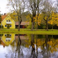 Gimo :: liudmila drake