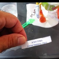 114 (100) :: CLOSE WAYS ALL