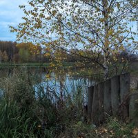 ***** :: юрий поляков