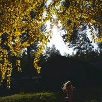 * :: Наталья Покацкая