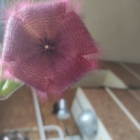 Такой вот был.. ) :: Игорь Ч.