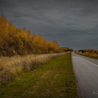 "Осень продолжается"© :: Владимир Макаров