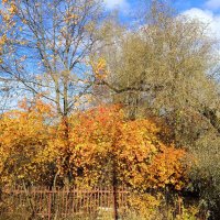 Уходящий октябрь :: Мария Васильева Уходящий октябрь :: Мария Васильева