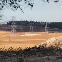 Наступила осень... :: Валерий Готлиб