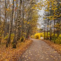В осеннем парке... :: Владимир Жданов
