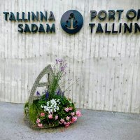 Прогулка по променаду Круизного терминала :: Veera V Прогулка по променаду Круизного терминала :: Veera V