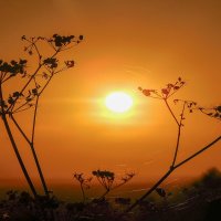 Закат :: Владимир Кириченко