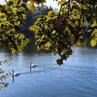 На Крестовском острове. :: Ольга 