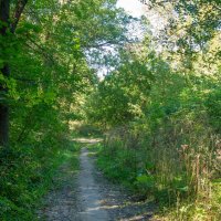 ___ :: Yuriy V ___ :: Yuriy V