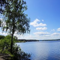 Летний пейзаж :: Александр Щеклеин