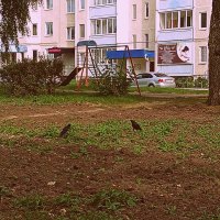 Мценск летом. :: Владимир Драгунский