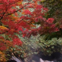 Осень :: Ксения N