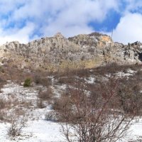 Природа Крыма :: Amazing Cosmea