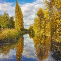 ****** :: Андроник Александр 