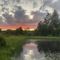 На пруду :: Ольга Савельева 