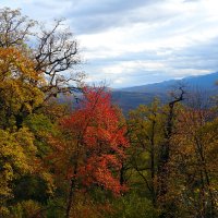 осень :: Юрий Словецкий