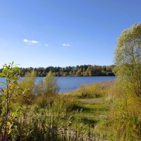 Побережье лесного озера :: Рита Симонова