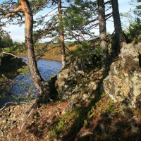 Прогулки по осени :: Галина Ильясова Прогулки по осени :: Галина Ильясова