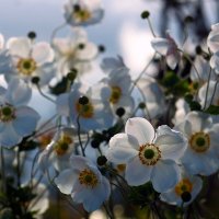 День октября :: Юрий. Шмаков