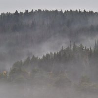 Туманы октября :: Роман Пацкевич Туманы октября :: Роман Пацкевич