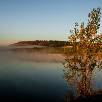 Туман. :: Сергей Воротников