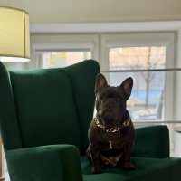 Мальчик ) :: Анна Камс