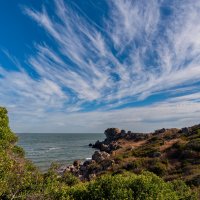 *** :: Виталий Емельянов