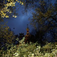 Прощание с октябрём в Михайловском саду :: Наталья Герасимова