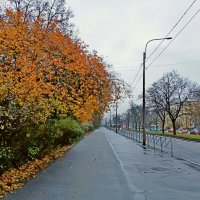 "И небо словно серая скала..." :: Лия ☼