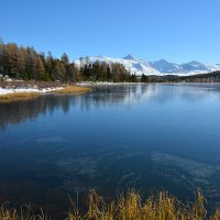 Киделю :: Валерий Медведев