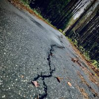 Главное- выбрать направление!) :: Любовь 