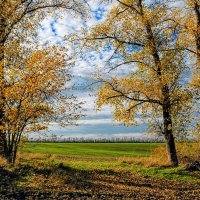 Конец октября. :: Владимир 