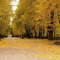 Осень. :: Михаил Свиденцов