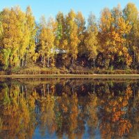 Осень. :: Михаил Свиденцов