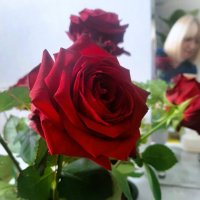 ♥ :: Ирина Via