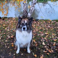 Ося :: Наталья 