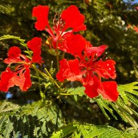 DelonNix :: Александр Деревяшкин