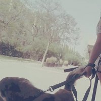 114 (105) :: CLOSE WAYS ALL