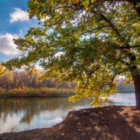 Природный парк Волго-Ахтубинская пойма. :: Дина Евсеева