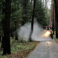 Даёшь чистые дорожки! :: Любовь 