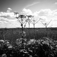 Фотография :: Денис Безногов